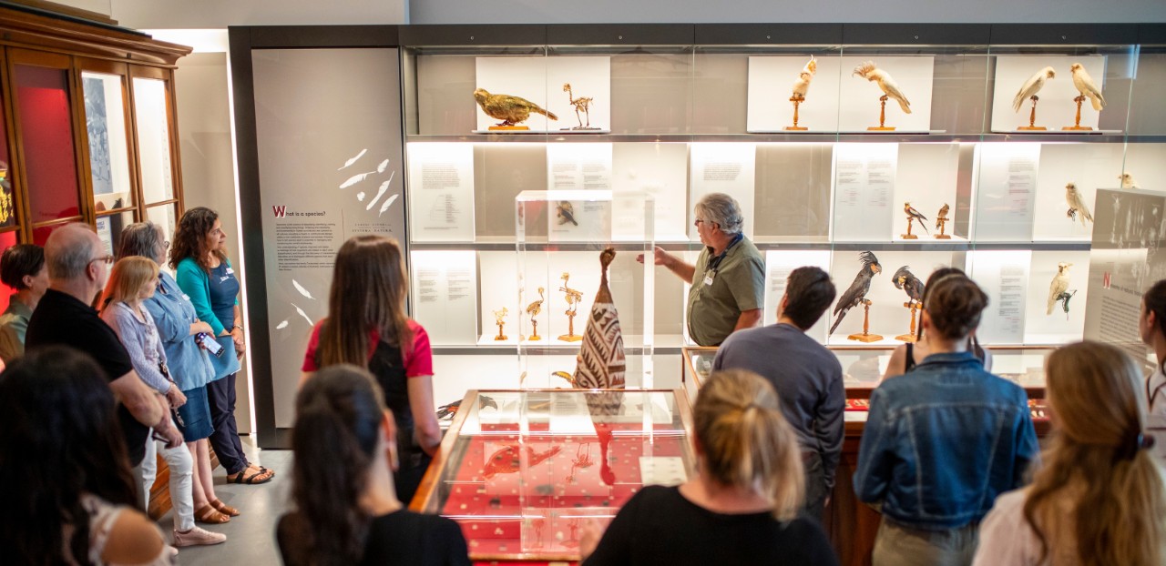 Tour group in Natural Selections